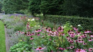 bloemen in de tuin tuincursus online