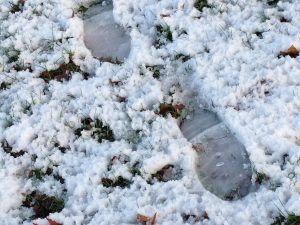 Sporen in de sneeuw over het gazon